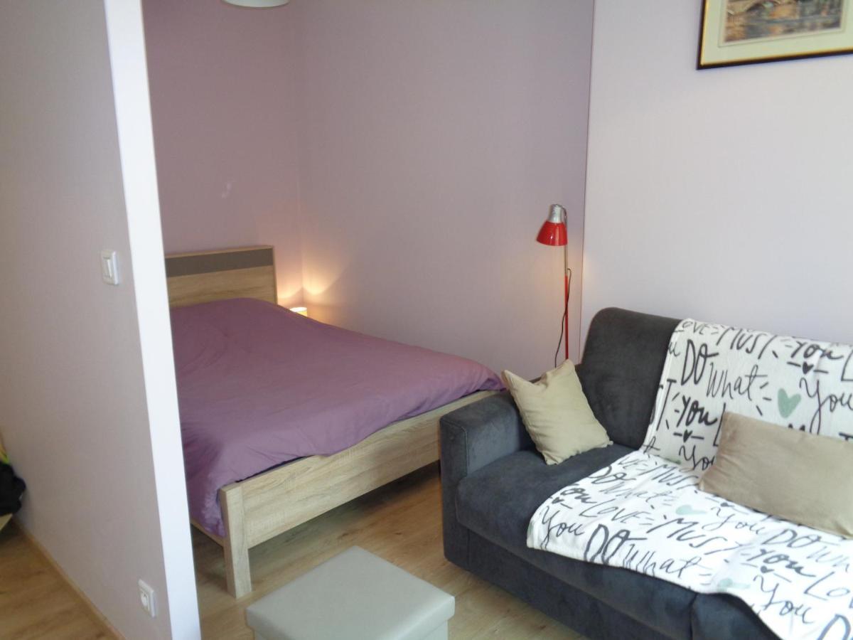 Au Puy Saint Jacques Apartment Le Puy-en-Velay ภายนอก รูปภาพ