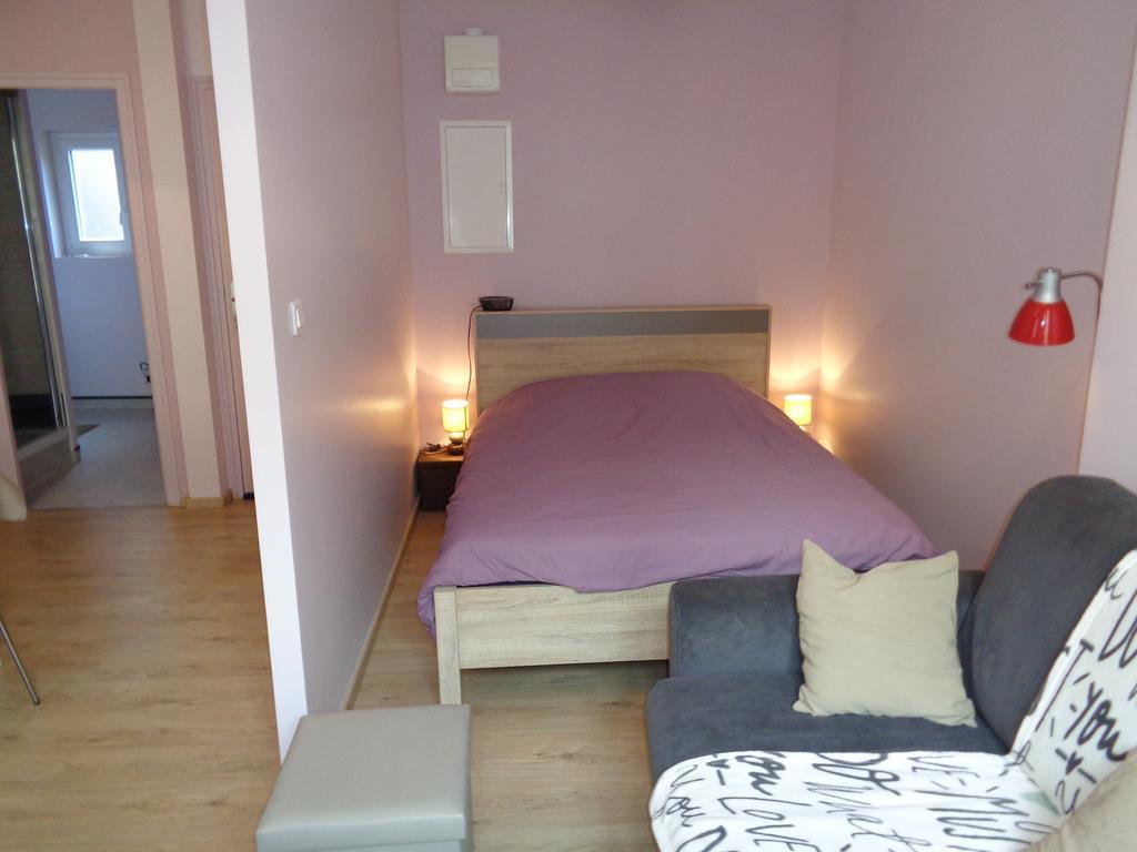 Au Puy Saint Jacques Apartment Le Puy-en-Velay ภายนอก รูปภาพ